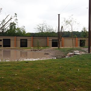 New greater flamingo aviary and house, 2019-07-21