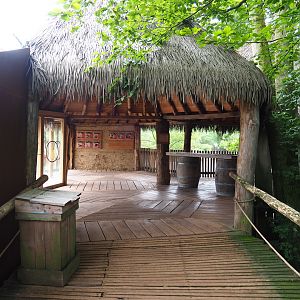 Greater flamingo aviary and white rhinoceros paddock viewing hut, 2019-07-21