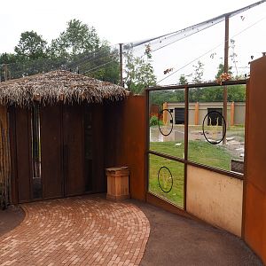 Entrance to and viewing window into the new greater flamingo aviary, 2019-07-21