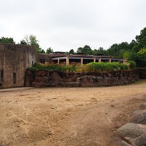 Savanna paddock and house, 2019-07-21