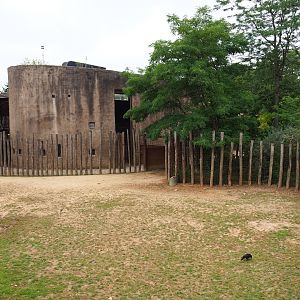 Savanna house and savanna separation paddock, 2019-07-21