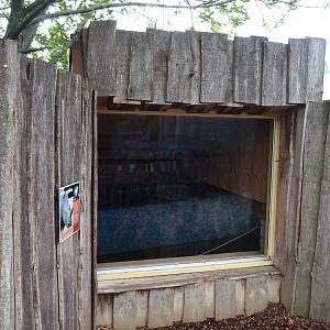 Viewing window into the rhinoceros stables, 2019-07-21