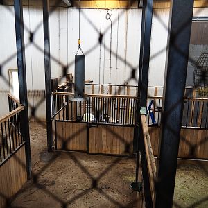 Savanna house stables, 2019-07-21