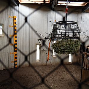 Savanna house stables, 2019-07-21