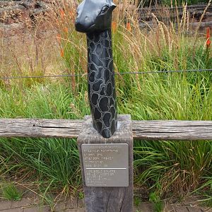 Braille display giraffe, 2019-07-21