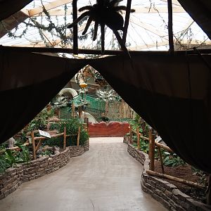 View into the DinoDome indoor playground, 2019-07-21