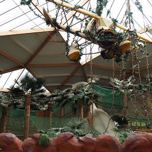 DinoDome indoor playground, 2019-07-21