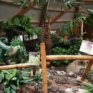 Vegetation and dinosaur models in the DinoDome indoor playground, 2019-07-21