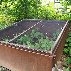 Outdoor terrarium for fire salamanders, 2019-07-21