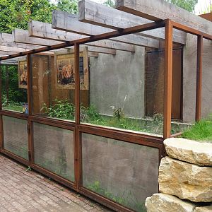 European hamster building, 2019-07-21