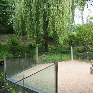 Eurasian otter exhibit and viewing area, 2019-07-21
