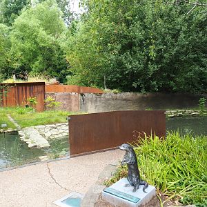 Eurasian otter exhibit and viewing area, 2019-07-21