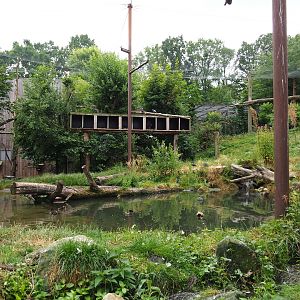 Taiga aviary, 2019-07-21