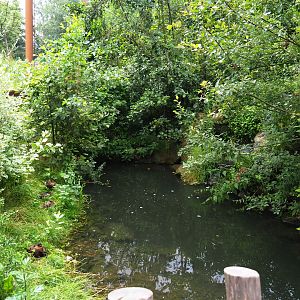 Pond in the Taiga aviary, 2019-07-21