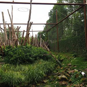 Alien species aviary, 2019-07-21