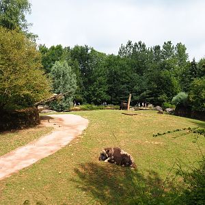 Part of the musk ox exhibit, 2019-07-21