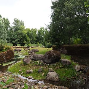Part of the musk ox exhibit, 2019-07-21
