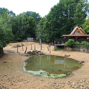 Eurasian forest reindeer paddock with geese pool and Taiga Lodge, 2019-07-21