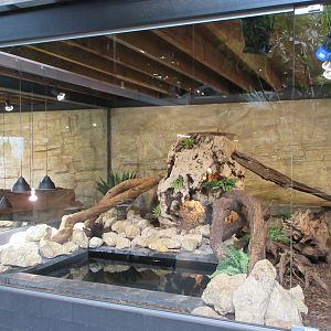 Ground Floor Vivarium