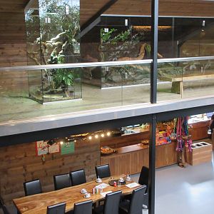 Two-Level Reptile House (21 exhibits)