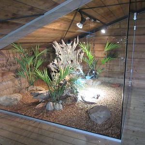 Top Floor Vivarium