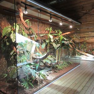 Top Floor Vivarium