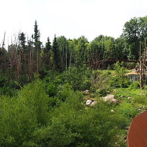 Part of the Barbary macaque exhibit, 2019-07-21