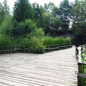 Park view near the bush dog exhibit, 2019-07-21
