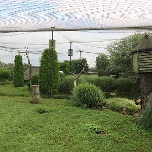 1,000 Square Meter Aviary