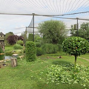 1,000 Square Meter Aviary