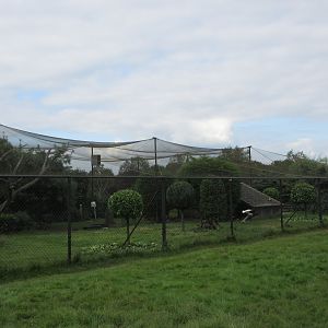 1,000 Square Meter Aviary