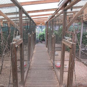Row of aviaries