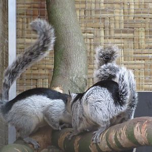 Beautiful Colour Scheme