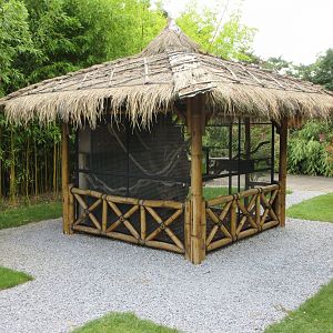 Typical Squirrel Exhibit