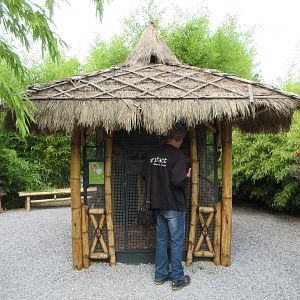 Typical Squirrel Exhibit + 'VC'  (Zoo Nerd)