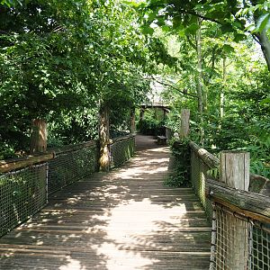 View in the Puna aviary, 2019-07-21