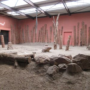 African Elephant Barn