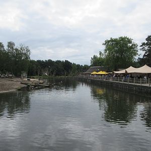 Common Hippo - enormous exhibit