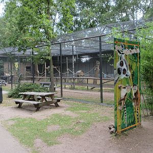 Ring-tailed Lemur Exhibit (walk-through)