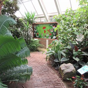 Walk-through Jungle (very small)