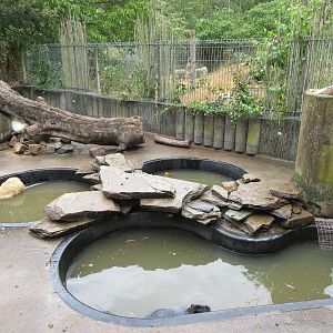 Coypu Exhibit
