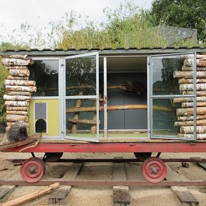 North American Porcupine House (4 in there!)