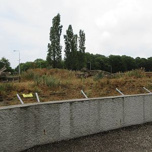 Spotted Hyena Exhibit