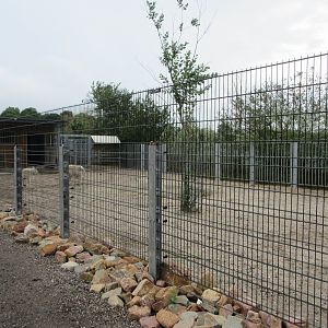 Rocky Mountain Goat Exhibit