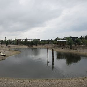 South American Exhibit