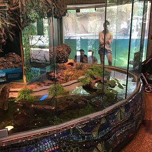 Pritzker Family Children's Zoo - Turtle Terrarium (with Beaver exhibit in back)