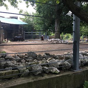 Regenstein African Journey - Eastern Black Rhino Enclosure #2