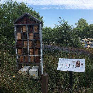 Insect Hotel