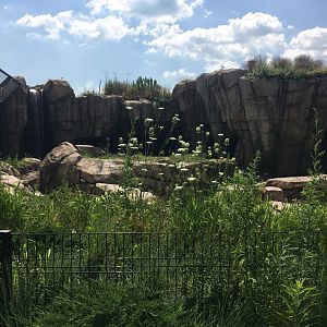 Walter Family Arctic Tundra