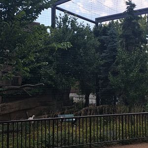 Regenstein Birds of Prey - White Stork/Eurasian Black Vulture Aviary